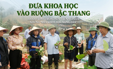 Đưa khoa học vào ruộng bậc thang, hành trình trồng sen trên núi của những ‘nhà khoa học nông dân’