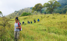 Tự ý tổ chức trekking ở Vườn quốc gia Núi Chúa - Phước Bình có thể bị xử lý