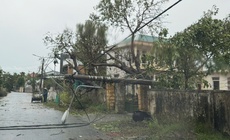 Áp thấp nhiệt đới mạnh lên, Biển Đông sắp đón cơn bão số 1