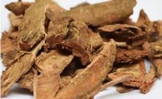 4 bài thuốc điều trị bệnh trĩ