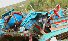 Hoàn lưu bão Ba Vì gây biển động rất mạnh, tàu thuyền cần lưu ý tránh trú an toàn
