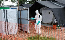 Dịch Ebola: Bệnh nhân cuối cùng xuất viện, Uganda đếm ngược đến ngày hết dịch