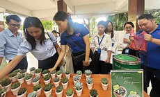 Tuổi trẻ Bộ Y tế góp sức xây dựng môi trường làm việc xanh
