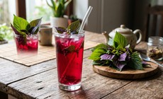 Uống quá nhiều nước lá tía tô có thể gây bất lợi gì?