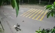 Hai xe máy va chạm trong đêm, 4 người thương vong