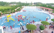 Những bệnh dễ mắc khi đi bơi