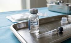 Có nên tiêm vaccine phòng bệnh sốt xuất huyết?