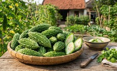 3 lợi ích nổi bật của mướp đắng với người bệnh đái tháo đường