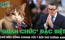 ‘Quan chức’ đặc biệt nhất nước Anh: Chú mèo 19 tuổi vẫn ở lại sau khi Thủ tướng thứ 7 lên nắm quyền