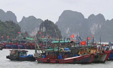 Quảng Ninh: 1 người mất tích do mưa bão, cấm biển từ 12 trưa nay