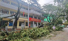 Quảng Ninh khắc phục hậu quả sau bão số 1