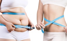 Lần đầu phát hiện loại protein có thể kích thích đốt mỡ nhưng không giảm cơ