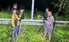 Làm rõ 6 đối tượng cắt trộm dây điện chiếu sáng tại Khu du lịch quốc gia Hồ Tuyền Lâm