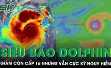 Siêu bão Dolphin giảm còn cấp 16 nhưng vẫn cực kỳ nguy hiểm, Biển Đông sắp hứng gió mạnh