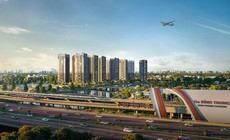 Công ty Cổ phần Bluemarq Development vi phạm chứng khoán