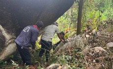 Phát hiện vị trí nghi có 4 hài cốt liệt sĩ ở vùng núi Phú Ninh, TP Đà Nẵng