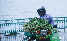 Mùa đông năm nay đến muộn, ít có rét đậm rét hại
