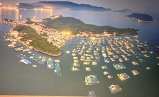 Hội tụ vẻ đẹp của tứ vịnh lừng danh ở Khánh Hòa