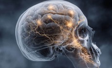 Phát hiện cơ quan mới ẩn trong hộp sọ có khả năng phòng ngừa ung thư não