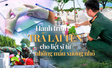 Gom từng mảnh ký ức dưới đất vụn để gọi tên các Anh hùng