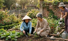 Vượt qua ‘cơn bão cảm xúc’ ở tuổi trung niên