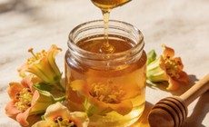 Hoa đu đủ đực ngâm mật ong: dùng sai cách bỏ lỡ cơ hội điều trị