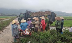 Bão số 4 suy yếu, miền Trung gia tăng nắng nóng