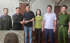 Người dân giao nộp rùa núi vàng quý hiếm