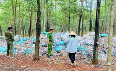 Chủ cơ sở nhựa đem gần 8,5 tấn chất thải đổ vào rừng cao su