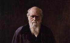 Một dự đoán của Charles Darwin vừa được khoa học xác minh sau hơn 150 năm