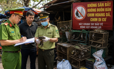 Lâm Đồng kiên quyết xóa các 'điểm nóng' săn bắt, buôn bán chim hoang dã