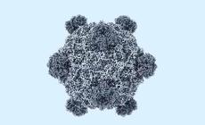 Mỹ tạo 16 loại virus chưa từng có ngoài tự nhiên bằng AI
