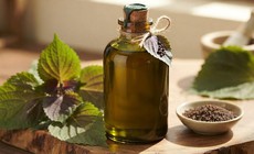 3 lợi ích của dầu tía tô với người ăn kiêng, giảm cân