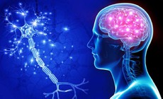 4 yếu tố nguy cơ gây bệnh Alzheimer
