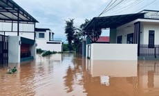 Mưa xối xả kéo dài, xuất hiện 217 xã, phường nguy cơ cao sạt lở