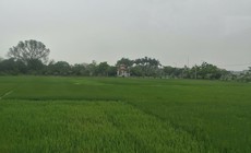Các mức phạt khi cho thuê đất được nhà nước giao hoặc công nhận sai quy định