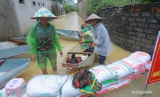 Làng quê ngoại thành Hà Nội ngập sâu, người dân bì bõm chuyển đồ