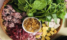 Ăn thịt đỏ thế nào để cân đối trong chế độ ăn hằng ngày?
