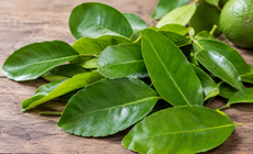 Lá chanh có tác dụng gì?