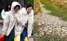Mùa đông miền Bắc có gì bất thường dưới tác động của El Nino mạnh?