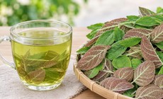 4 sai lầm khi sử dụng lá mơ lông nhiều người mắc phải