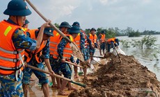 Những người lính Không quân lội bùn gia cố đê Vàng