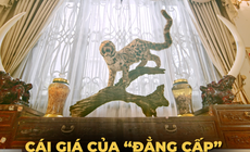 Mua bán, tàng trữ động vật hoang dã nguy cấp có thể ngồi tù hàng chục năm
