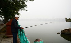 El Nino đã đạt ngưỡng rất mạnh, mùa đông năm nay ít có rét đậm rét hại