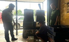 Thu giữ nhiều loài chim quý hiếm tại nhà dân