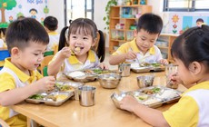 Chế độ ăn cho trẻ mầm non và tiểu học trong một ngày