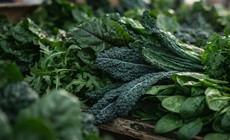 Cách ăn rau lá xanh đậm để phòng ngừa bệnh mạn tính