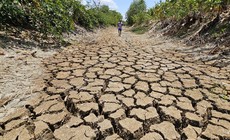 Các kịch bản của El Nino tác động rất mạnh đến nước ta
