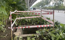 Hà Nội: Nhiều hố ga mất nắp trên đường Phạm Văn Đồng 