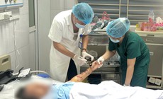 Chó tấn công cụ bà nằm liệt giường 6 năm